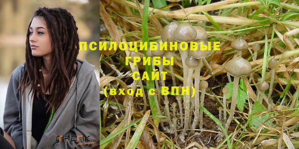 герыч Абаза