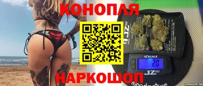шишки Бийск