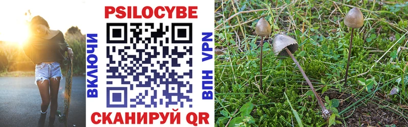 Псилоцибиновые грибы GOLDEN TEACHER купить закладку Домодедово